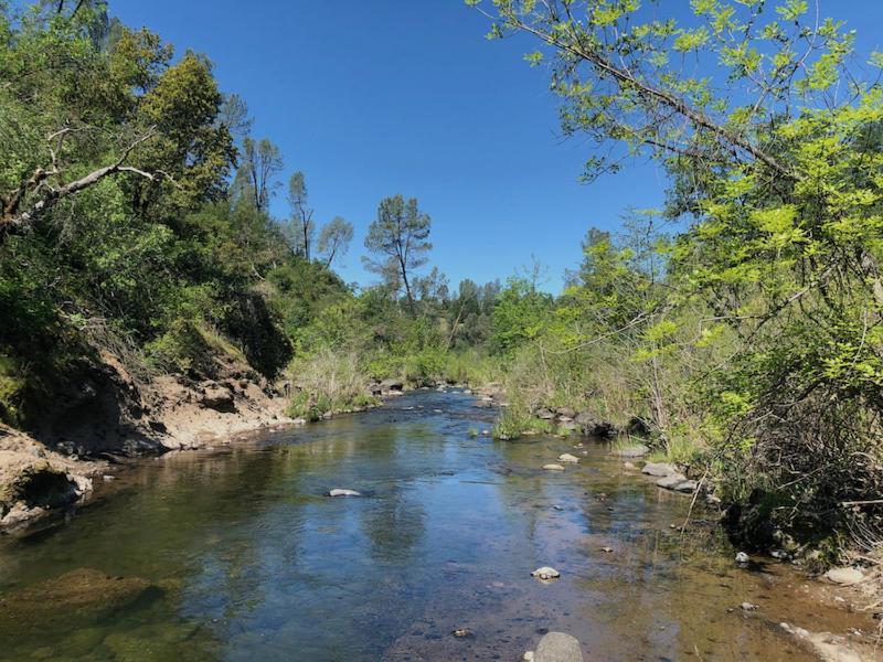 Bear Creek Falls Lodge On 67 Acres Creek & Waterfalls Millville Экстерьер фото